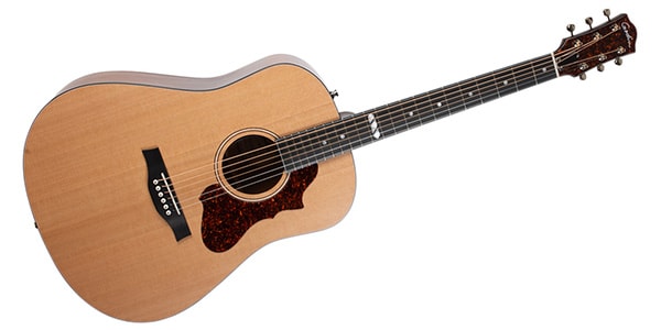 GODIN GUITAR ( ゴダンギター )  / METROPOLIS NATURAL CEDAR EQ W/BAG画像3