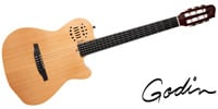 GODIN GUITAR ACS Nylon Natural SG