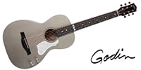 GODIN GUITAR / 047956