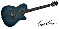 GODIN GUITAR / 047963
