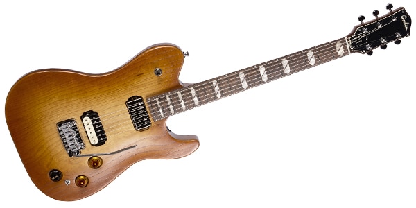 GODIN GUITAR ( ゴダンギター )  / Radium-X Rustic Burst SG画像2