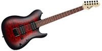 GRASSROOTS G-TB-55R See Thru Black Cherry Sunburst Satin