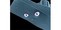 Grande uomo / TS-2 AC ねこ ローズクォーツ