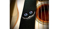 Grande uomo / TS-2 AC Bad Cat