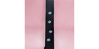 Grande uomo / TS-2 AC Cat Paw ブルームーンストーン