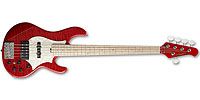 EDWARDS E-T-170BD See Thru Festa Red