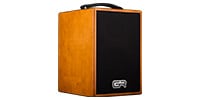 GR Guitar / WD Acoustic 6 アコースティック・ギターアンプ