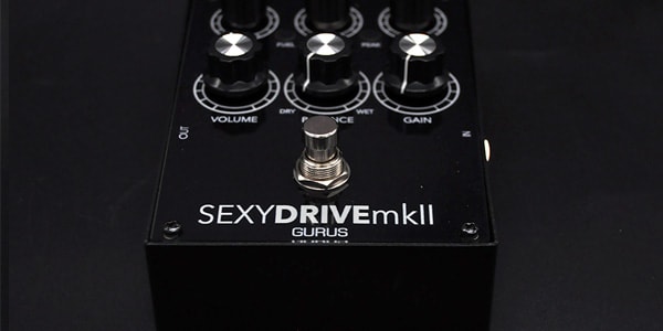 Gurus / SEXY DRIVE mkII画像10