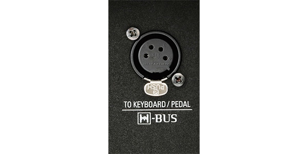 HAMMOND ( ハモンド )  / H-BUSｹｰﾌﾞﾙ 25cm画像2