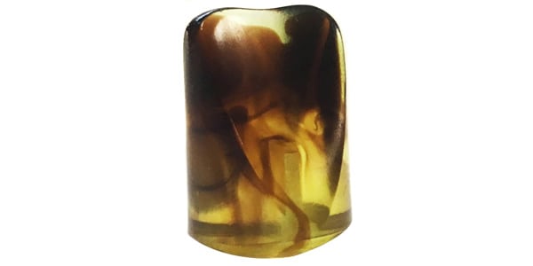 Haramis S-Type Switch Tip (Strat), Tortoise - Single