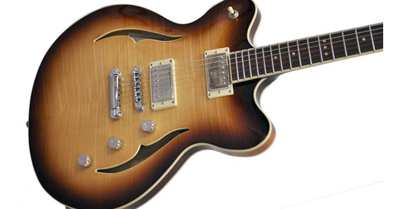 HOFNER ( ヘフナー )  / Verythin CT Special HCT-VTH-SP-SB Sunburst画像2