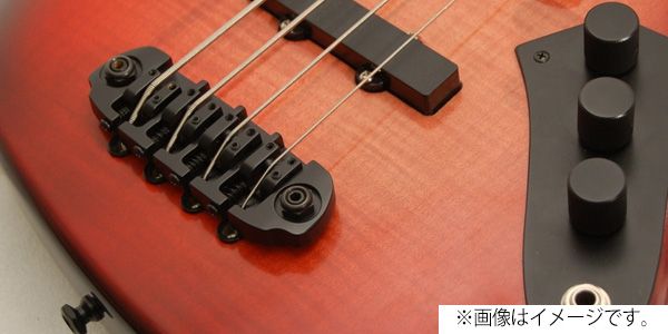 HIP SHOT/4 String D Style Bridge Only Black .750