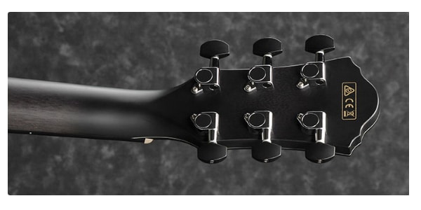 Ibanez ( アイバニーズ ) AEWC400-TKS エレクトリック