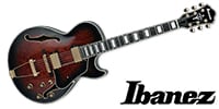 IBANEZ AG95QA-DBS