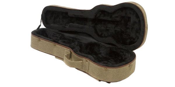 Ibanez / FS40UC画像3