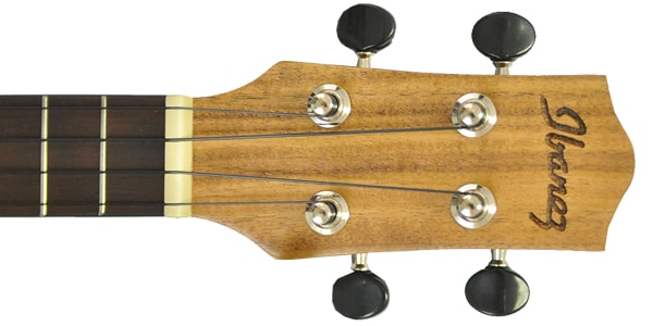 Ibanez / UEW12ACE　コンサートウクレレ画像4