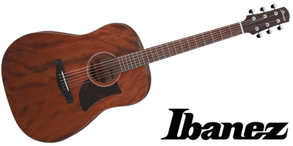 Ibanez ( アイバニーズ )  / AAD140-OPN