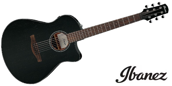 Ibanez ( アイバニーズ )  / AAM340CE-RUB