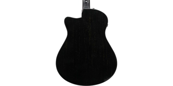 Ibanez ( アイバニーズ )  / AAM340CE-RUB画像4
