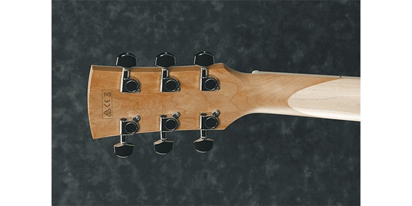 Ibanez ( アイバニーズ )  / AC419E-OAW画像3