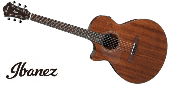 Ibanez ( アイバニーズ ) AE295L-LGS 送料無料 | サウンドハウス