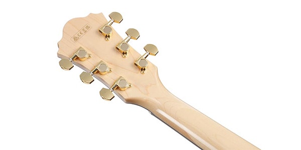 Ibanez / AE390画像2