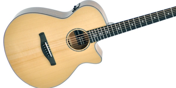 Ibanez / AEG200-LGS画像3
