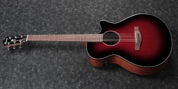 Ibanez / AEG50-DRH画像2