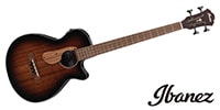 IBANEZ AEGB24E-MHS