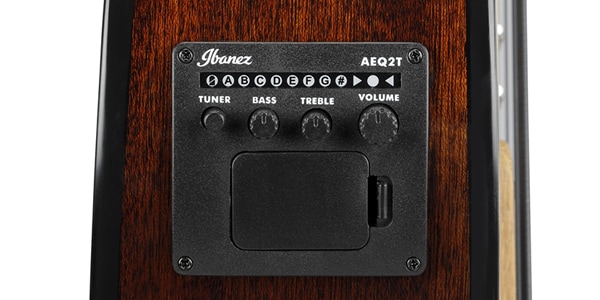 Ibanez / AEGB24E-MHS画像5