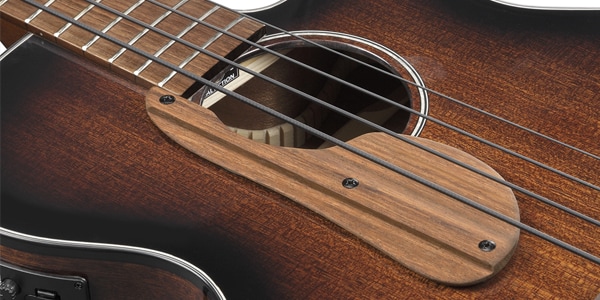 Ibanez / AEGB24E-MHS画像7