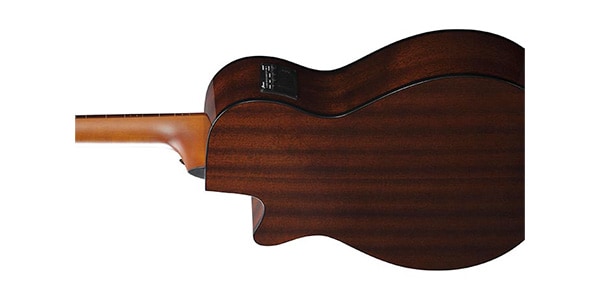 Ibanez / AEGB24FE-MHS画像2