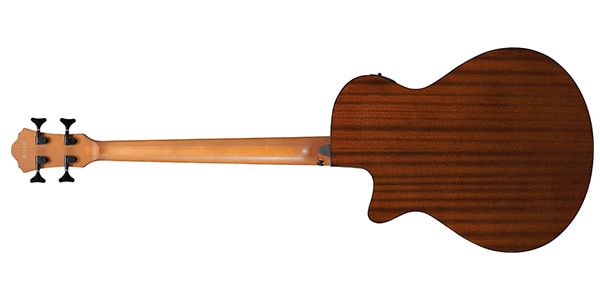 Ibanez ( アイバニーズ )  / AEGB25E-TKH画像2