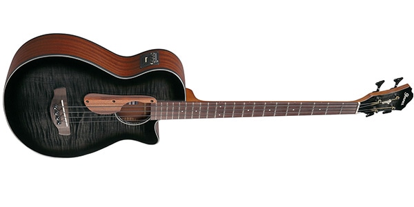 Ibanez ( アイバニーズ )  / AEGB25E-TKH画像3