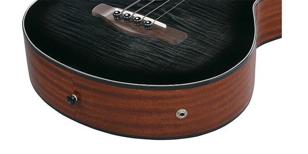 Ibanez ( アイバニーズ )  / AEGB25E-TKH画像6