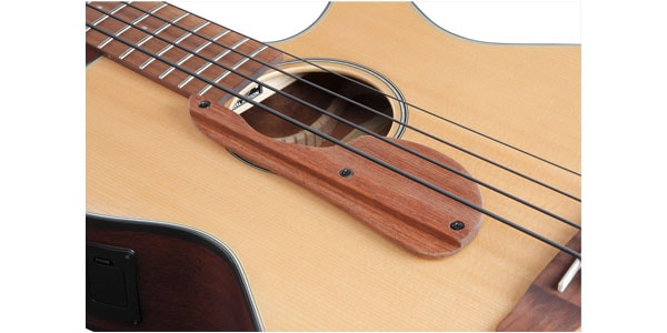Ibanez / AEGB30E-NTG画像4