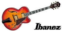 Ibanez / AF115-AWB