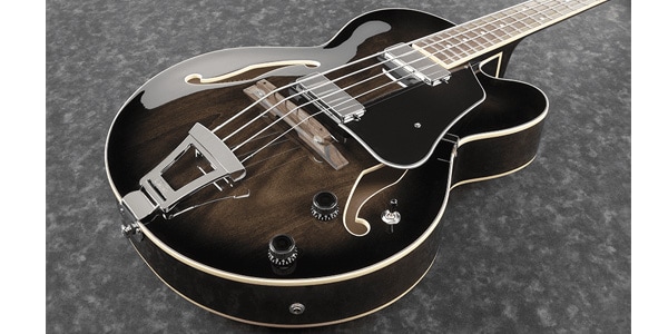 Ibanez / AFB200-TKS画像2