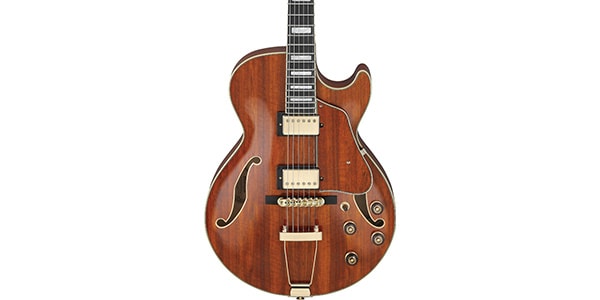 Ibanez ( アイバニーズ )  / AG95K-NT画像4