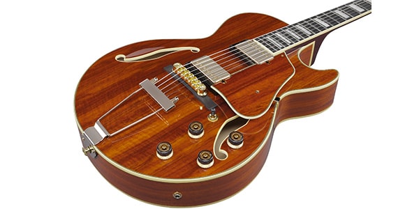 Ibanez ( アイバニーズ )  / AG95K-NT画像6