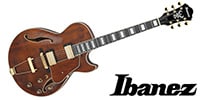 Ibanez / AG95MG-DA