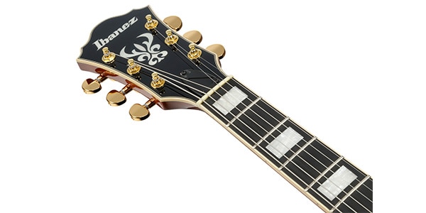 Ibanez ( アイバニーズ ) / AG95MG-DA画像5