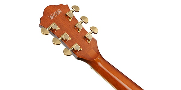 Ibanez ( アイバニーズ ) / AG95MG-DA画像6