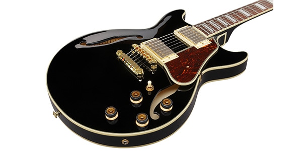 Ibanez ( アイバニーズ ) / AM73G-BK画像3
