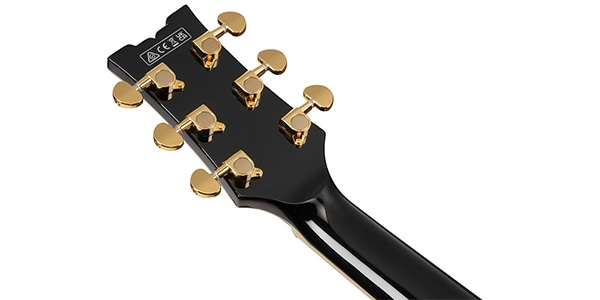 Ibanez ( アイバニーズ ) / AM73G-BK画像6