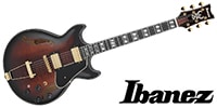 Ibanez / AMH100FM-DVS