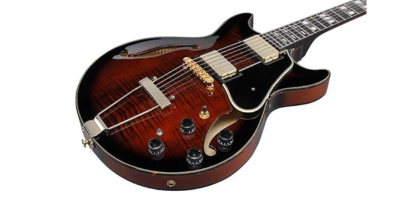 Ibanez ( アイバニーズ )  / AMH100FM-DVS画像2