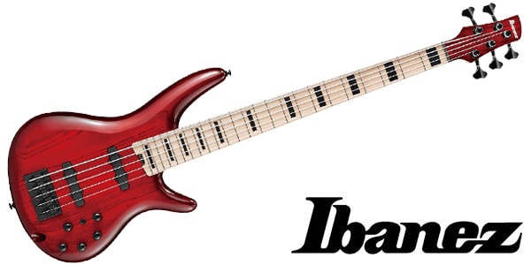 Ibanez ( アイバニーズ )  / ANB205-TWB