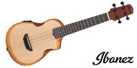 Ibanez / AUC10E-OPN