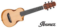 Ibanez / AUP10N-OPN